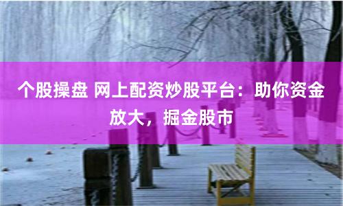个股操盘 网上配资炒股平台:助你资金放大,掘金股市