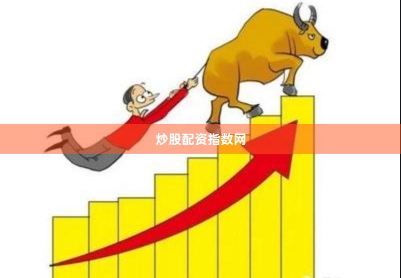 炒股配资指数网