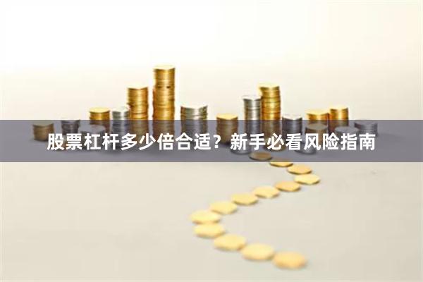 股票杠杆多少倍合适？新手必看风险指南